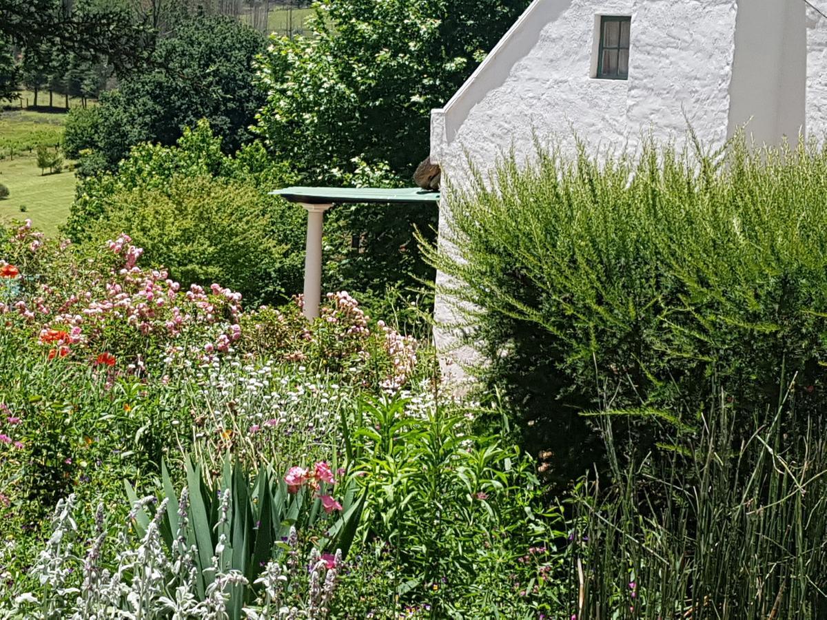 Rosebury Cottage Underberg Buitenkant foto